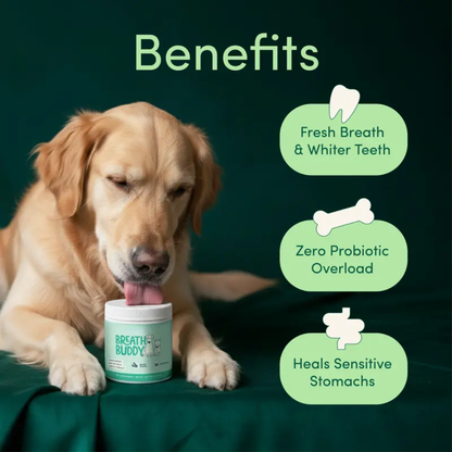 Breath Buddy Dental + Probiotic Scoops