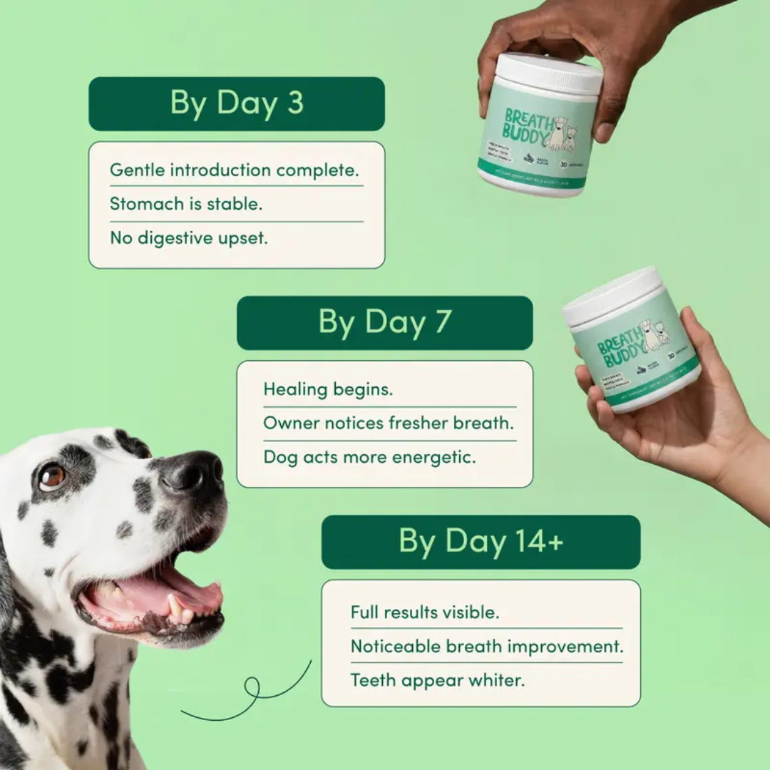 Breath Buddy Dental + Probiotic Scoops