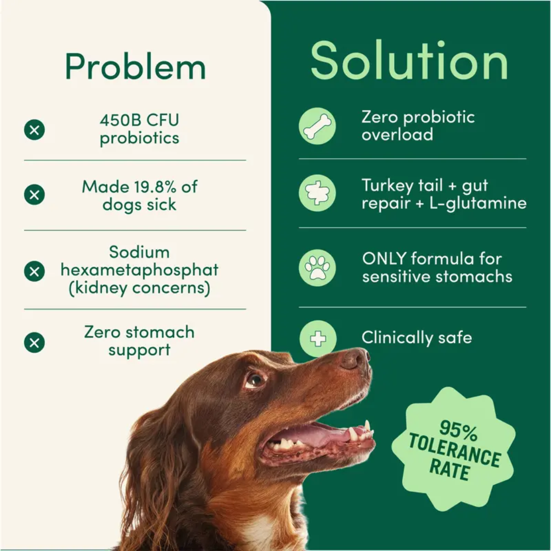 Breath Buddy Dental + Probiotic Scoops