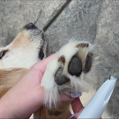 Pawzi™ Paw Trimmer
