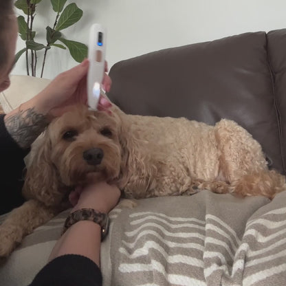 Pawzi™ Paw Trimmer